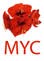 MYC small